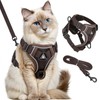 GlasFlength Cat Harness with Lead, Escape Proof, Cat Lead with