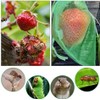 100 Pcs Fruit Protection Bags, CAASFOOY 6.7×9inch Fruit Grape Protective