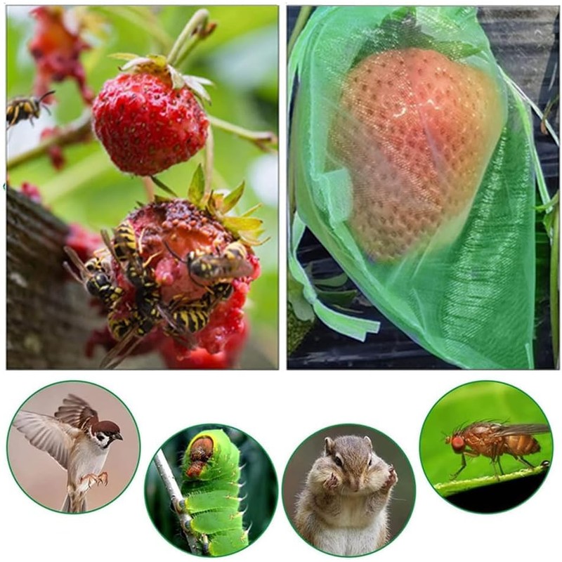 100 Pcs Fruit Protection Bags, CAASFOOY 6.7×9inch Fruit Grape Protective