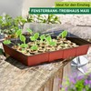 Windhager Room-Greenhouse Maxi Windowsill-Greenhouse Plant Breeding, With Source Tabs