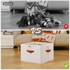 INSTY Shoe Organizer for Closet, 2 Pack Foldable Shoe Storage