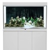 MIRRORANG 61x30cm Dark Scary Aquarium Background Trees Road Mist Horror