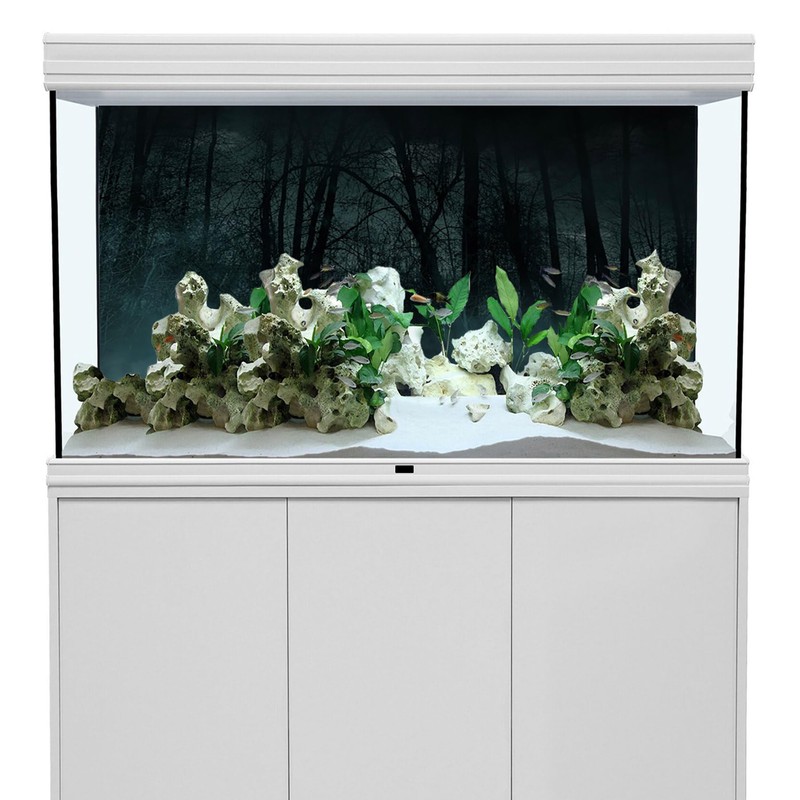 MIRRORANG 61x30cm Dark Scary Aquarium Background Trees Road Mist Horror