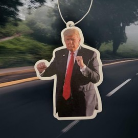 Novelty Car Air Freshener, Funny Design, Hanging Vehicle Deodoriser, Joke gift secret Santa