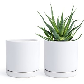 D'vine Dev Set of 2 Plants Pots, 6 Inch Ceramic Planter Pot for Plants with Drainage Hole and Saucer, White, 94-V-C-1