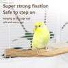Natural Wood Bird Perch for Cage – Chewing & Claw