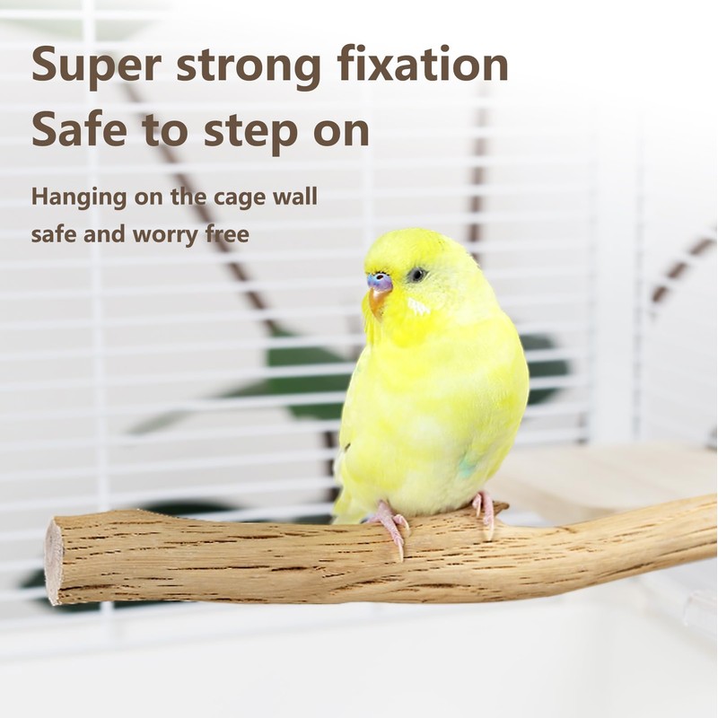 Natural Wood Bird Perch for Cage – Chewing & Claw