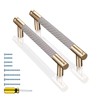 GTKHAAPPY Cabinet Handles 2-Pack 5'' Modern Grey & Gold Aluminum