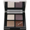 Visee Riche Eye Color Palette NA 03, Grayish Brown, 0.1