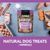 Evolve Grain Free Jerky Bites