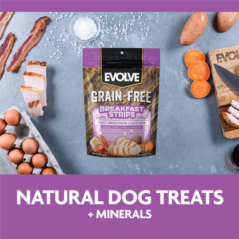 Evolve Grain Free Jerky Bites