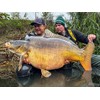 Haldorádó Carp PVA Mesh System 44mm x 5m – All-Season