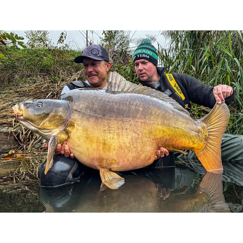 Haldorádó Carp PVA Mesh System 44mm x 5m – All-Season