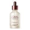 Carrot Ampoule Skinfood Carrot Carotene Moist Effector 52ml / 당근앰플 스킨푸드 캐롯 카로틴 모이스트 이펙터 52ml