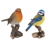 Vivid Arts - British Birds Robin & Blue Tit Home
