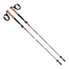 Terrain™ Alpha Aluminum Trekking Poles, Walking and Hiking Sticks, Canyon
