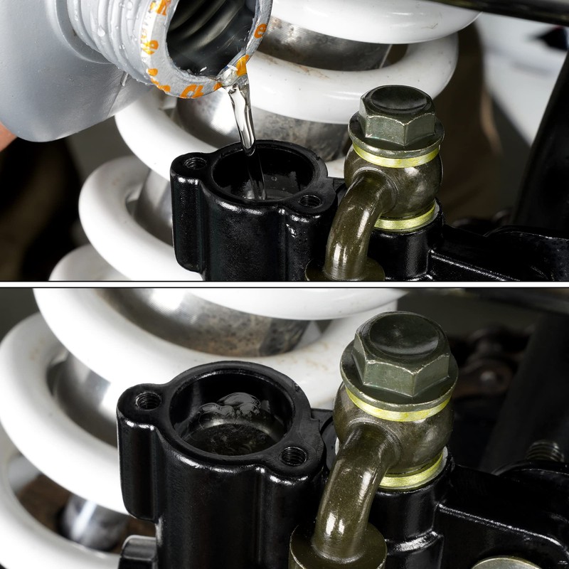 WEIYINGSI Rear Brake Master Cylinder Replacement for Sunl Pitster SSR