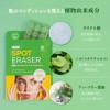 NOLAHOUR スポットイレイザー グリーン マイクロニードルパッチ ティーツリー葉油 マデカソシド シカ ニキビパッチ 9枚入り にきびパッチ