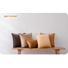 NOSTHEART Cushion Cover 45 x 45 cm, Brown, Set of