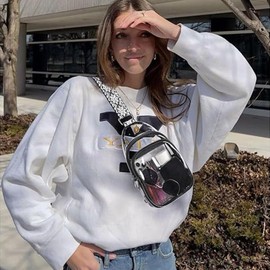 CXJYSD Riñonera Transparente,Impermeable,Manos Libres, Cartera Para Mujer,Ideal Para Deportes Al Aire Libre, Viajes Y Conciertos. (Blanco-transparente-06)