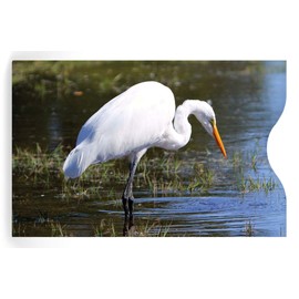 Monarque RFID Blocking Credit Card Sleeves, Set of 6 (Coastal Birds)