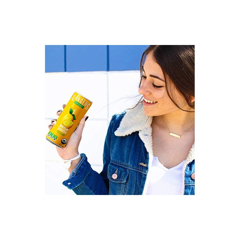 Langers Organic Flavored Sparkling Water, Meyer Lemon, 12 Ounce (Pack