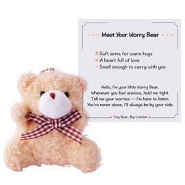 Kvekstio Worry Bear Gift for Stress Relief, Emotional Support Plush Bears Accessory, Bear Comfort Gift for Anxious Family Friends, Feeling Lonely Back to School Separation Anxiety Bears Hug Gifts