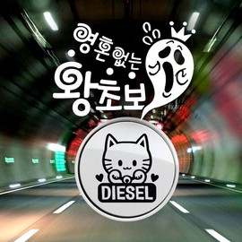 Jeje Deco P_Beginner Soulless Absolute Beginner Reflex+Fuel Cap Maneki-neko Diesel B / P_초보 영혼없는 왕초보 반사+주유구마네키네코 디젤B