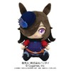 Uma Musume Pretty Derby Rice Shower Chibi Plush