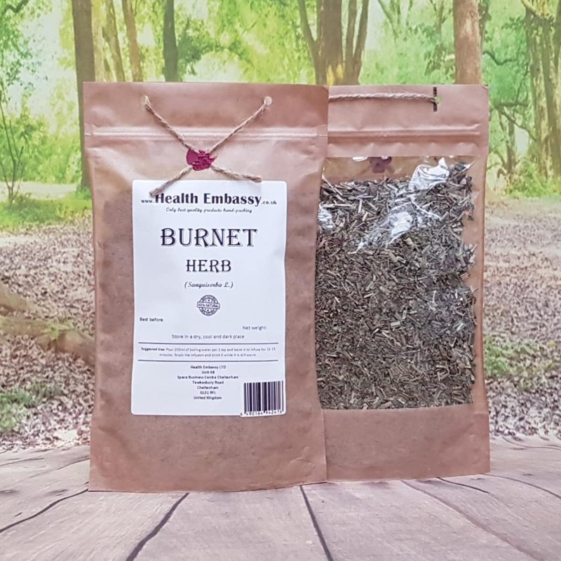 Health Embassy Burnet Herb | Sanguisorba officinalis L | 100%