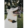 XUXO Collar para Perro, Piel Sintetica, Hecho a Mano, Resistente
