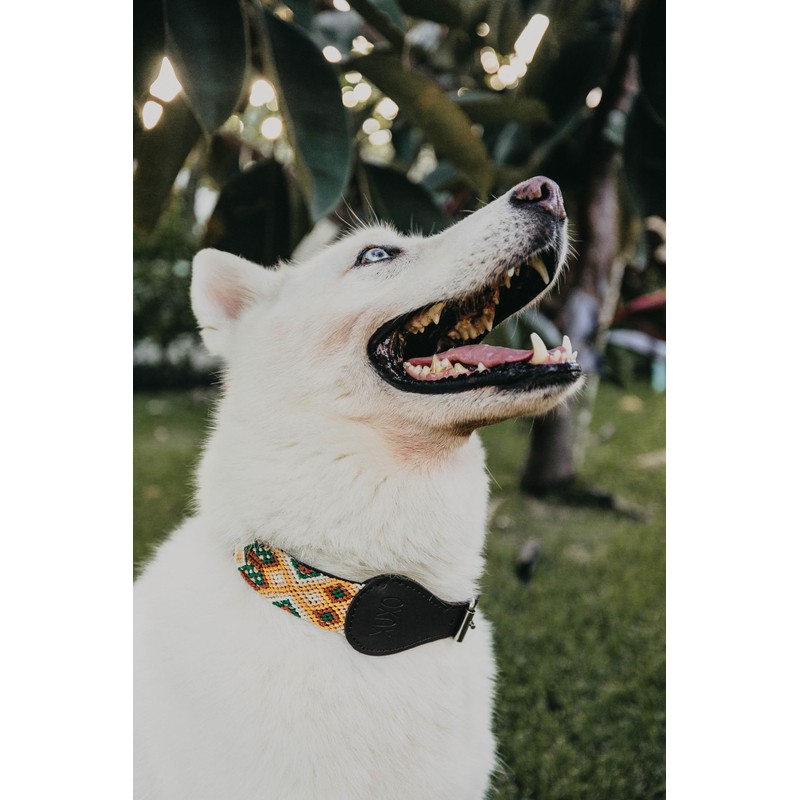 XUXO Collar para Perro, Piel Sintetica, Hecho a Mano, Resistente