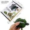 Tipmant RC Turtle IR Remote Control Tortoise Crawl Fake Electric