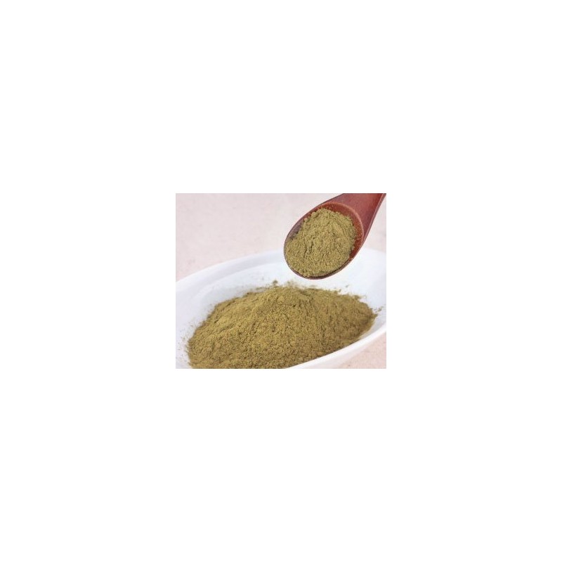 Gymnema Additive-Free 100% Powder 3.5 oz (100 g)