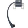 IGCLINIC 595291 796500 595554 796499 594423 Magneto-Armature for Briggs and