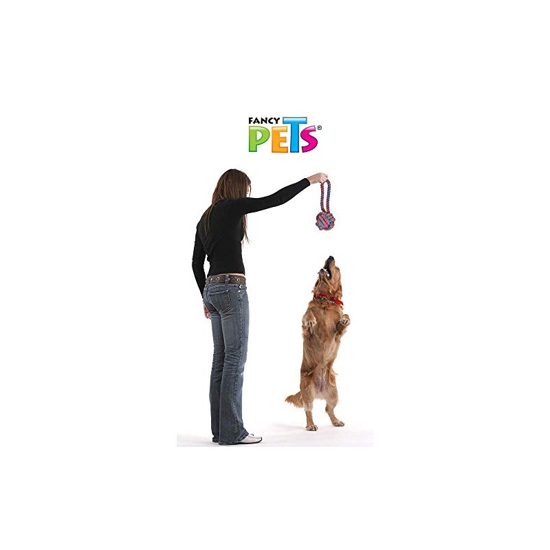 Fancy Pets Juguete de SOGA con Pelota de Hilo para