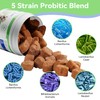 Probiotics for Dogs, Dog Probiotics for Gut Health, Digestive Support,