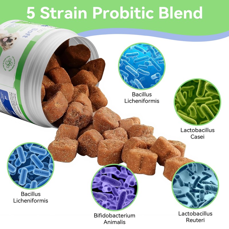 Probiotics for Dogs, Dog Probiotics for Gut Health, Digestive Support,