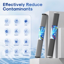 ICEPURE 2.5"x 20" Whole House Carbon Sediment Water Filter High Capacity Combo Kit, Carbon Block Cartridge and Activated Carbon Heavy Metal Removal Filter Replacement for C1-20, EP-20, F3WCB32, 1 PACK