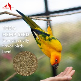 Morning Bird Hemp Seed, Healthy Bird Food with Protein, Fat, Fiber, Calcium, Minerals, Vitamins, and Amino Acids, 4.5 lbs (3-Pack, 1.5 lbs Each)