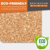 2 x MDF Glossy Top Coasters Square - Emperor Penguin