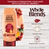 Garnier Whole Blends Restoring Conditioner Maple Remedy, For Dry, Damaged
