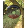 Oakdale Donut Peanut Bird Feeder