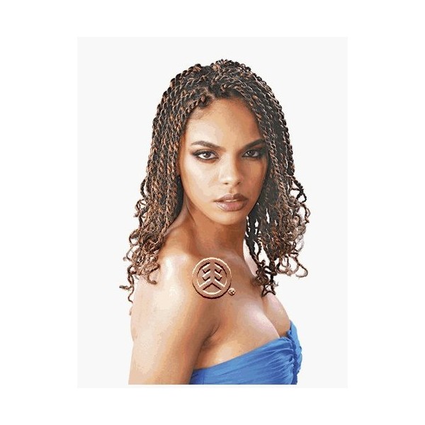 Janet Collection 100% Human Hair Afro Kinky Bulk 18" Color: 27