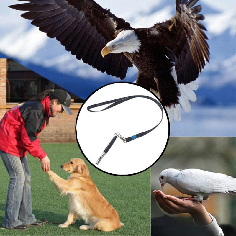 Ouceanwin Dog Whistle Set, 3 Pieces, Professional Adjustable Whistle, High