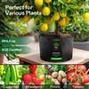 VIVOSUN 5-Pack 30 Gallons Grow Bags, Heavy Duty Thickened Nonwoven