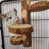 Chinchilla Large Hanging Wooden Rotating Platform - Small Animal Natural