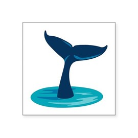 CafePress Whale Tail Sticker Square Bumper Sticker Car Decal