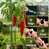 120-Pack Durable Plant Clips for Climbing Plants & Vegetables