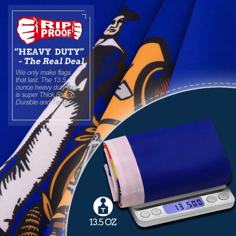 Anley Rip-Proof Double Sided 3-Ply Minnesota State Flag 3x5 Ft